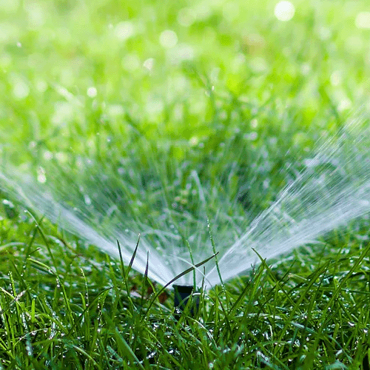 Visualizza i prodotti della categoria Irrigatori e testine Immagine per la categoria Irrigatori e testine