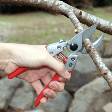 Visualizza i prodotti della categoria Taglio e potatura Immagine per la categoria Taglio e potatura