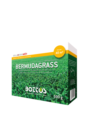 Immagine di Miscuglio di sementi per tappeto erboso BERMUDAGRASS 500 GR Bottos